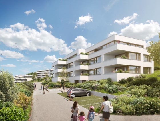 P442 | Römer Immobilien: Duggingen bei Basel